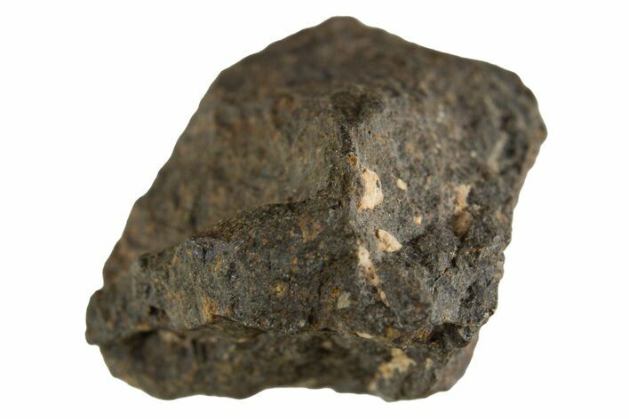 Carbonaceous Chondrite Meteorite ( g) - NWA #313725